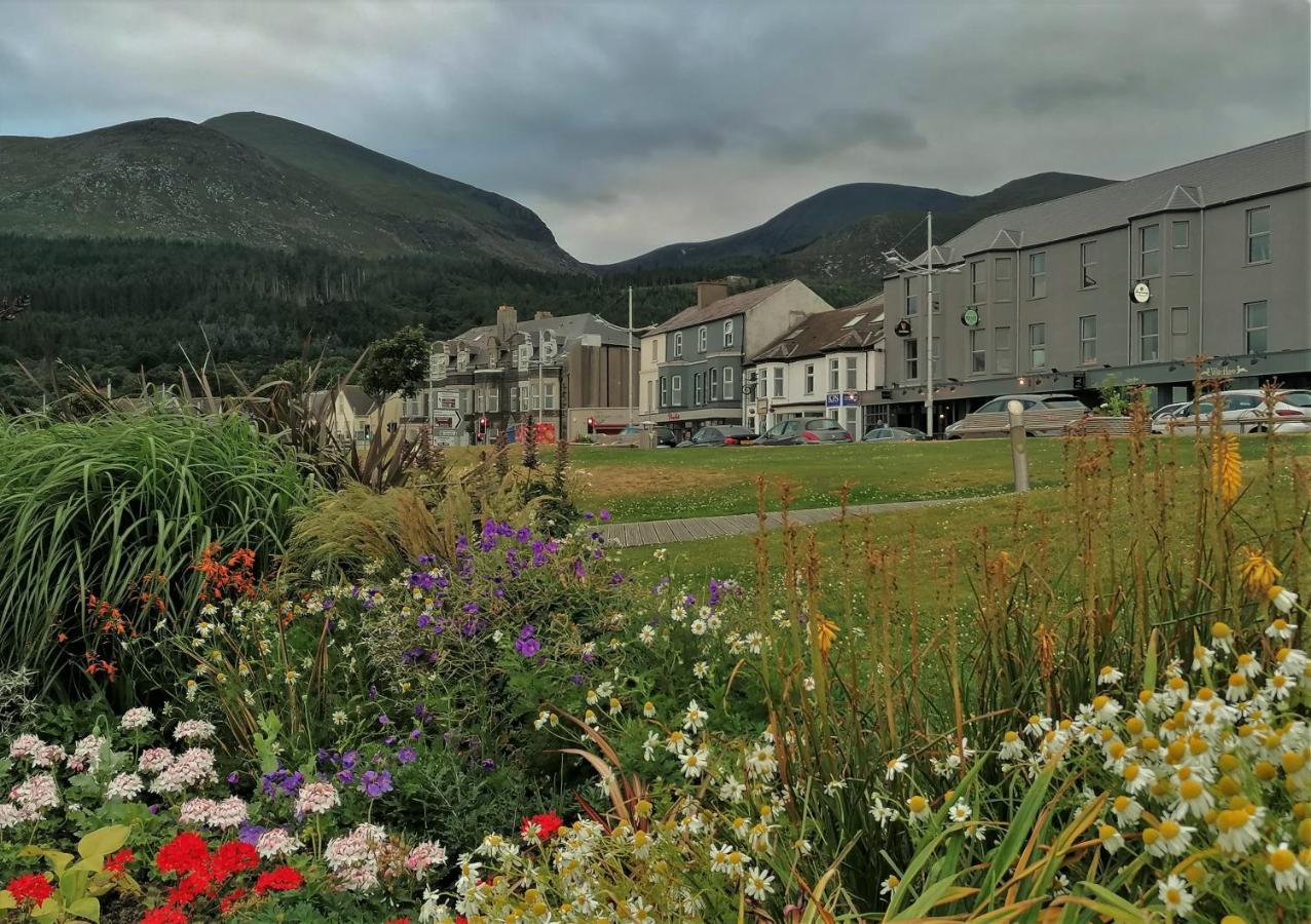 Mourne Mountain Art Apartment