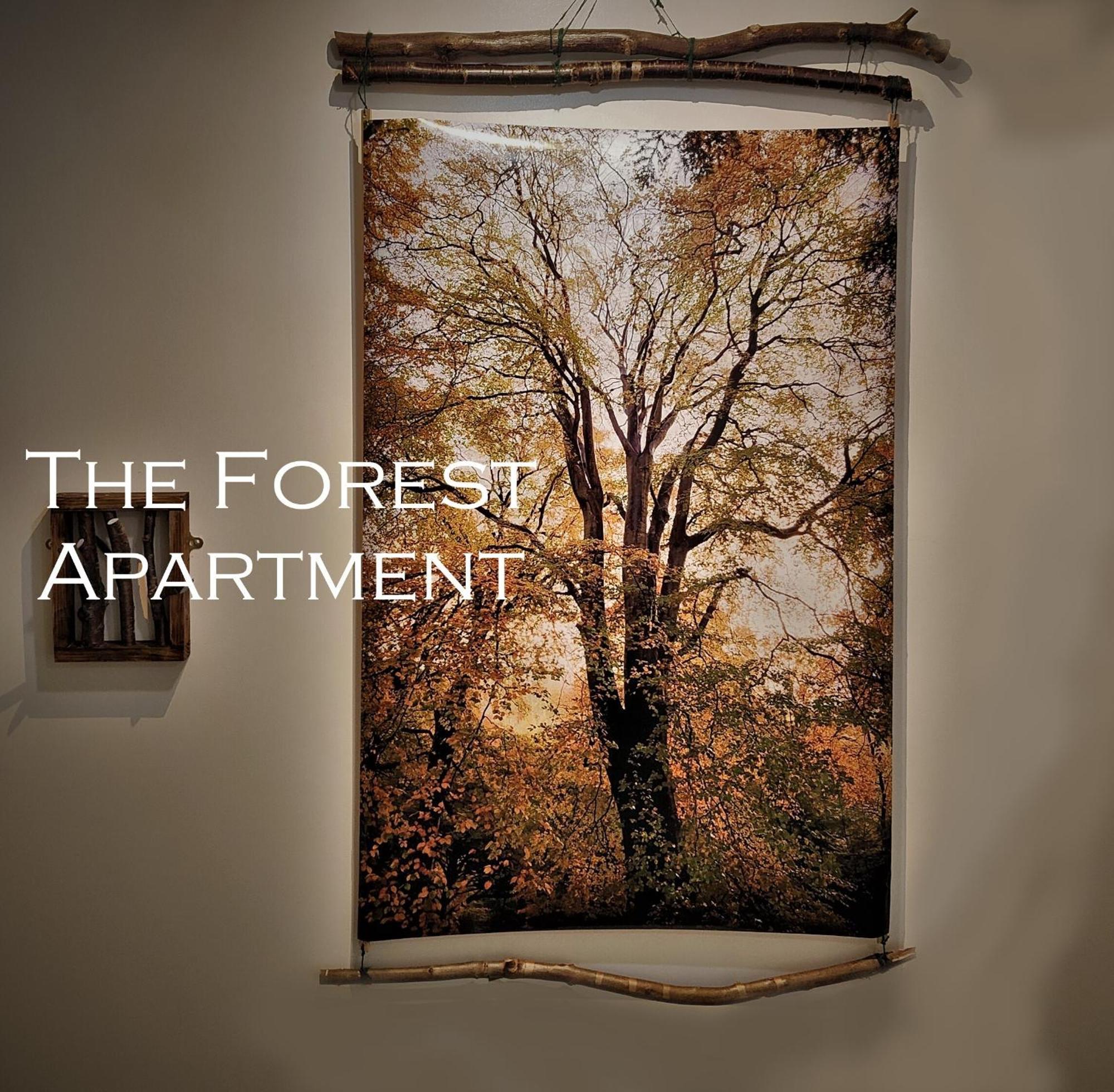 Mourne Mountain Art Apartment *